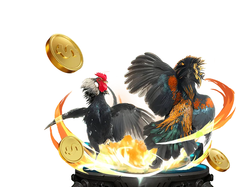 Giấy phép và quy định của web cá cược