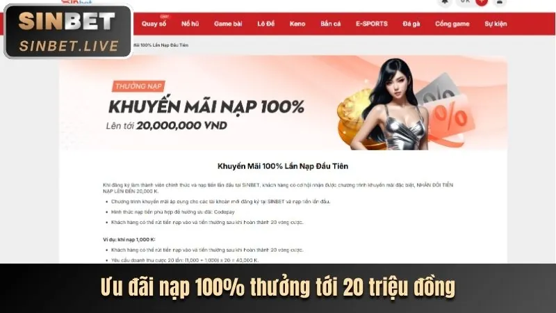 Trải nghiệm cá cược công bằng và minh bạch